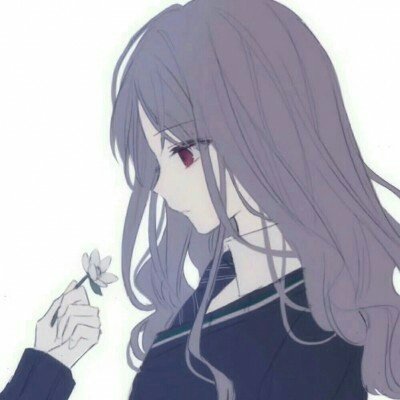 以黎停火10天